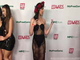 AVN Nominations Party Red Carpet - Part 2