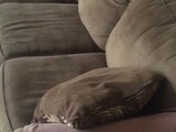 Big booty invisible hoe couch fucked