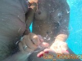 Handjob in the pool, sodomy and ejaculation in water