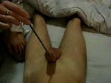 femdom insertion urethral play cum ejac