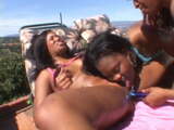 Three mocha hotties lick and finger near the pool