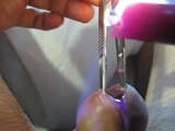 Urethra in hot  purple wax