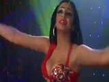 Hot Lebanese belly dancer