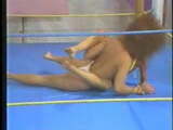 Blonde vs Redhead Topless Wrestling