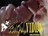 BBWow Trailer at clips4sale store 111781