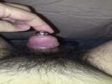 Urethra plug